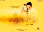 Marigold